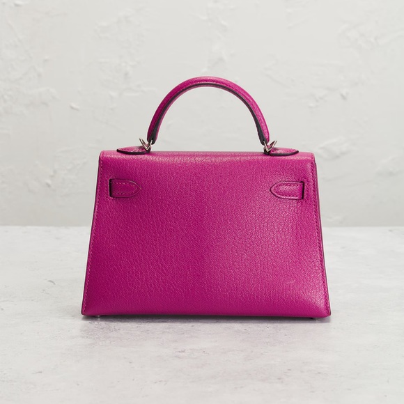 Hermes Chèvre Kelly 20 Handbag - Picture 8 of 11